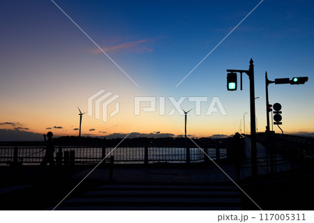 真夏の青い海の風景 117005311