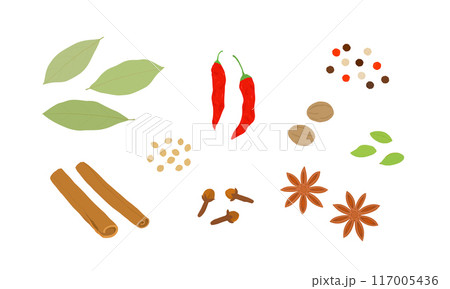 色々なスパイスのイラスト 117005436