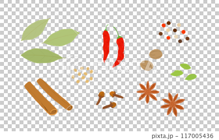 色々なスパイスのイラスト 117005436