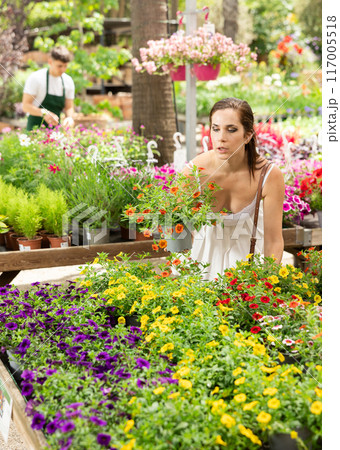 Spaniard woman choosing blooming calibrachoa at garden store Spaniard woman choosing blooming calibrachoa at garden store 117005518