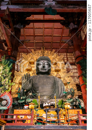 【奈良県】夜にライトアップされた東大寺の大仏 117005687