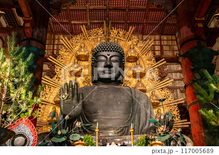 【奈良県】夜にライトアップされた東大寺の大仏 117005689