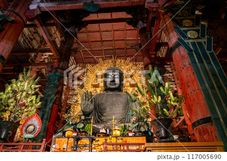 【奈良県】夜にライトアップされた東大寺の大仏 117005690