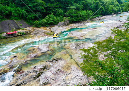 新緑を下る 117006015