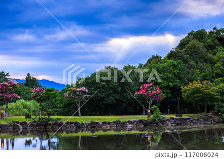 2024年夏奈良公園鷺池浮見堂の夕景　生駒山上空に現れた天使の梯子と水面のリフレクション　横構図③ 117006024