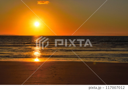 日南海岸の朝日 117007012