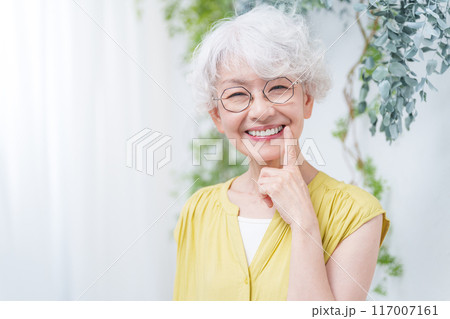 歯が綺麗なシニア女性 歯が綺麗なシニア女性 117007161