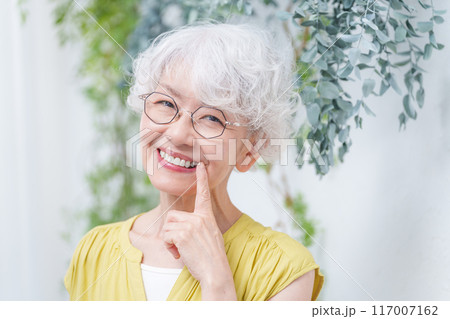 歯が綺麗なシニア女性 歯が綺麗なシニア女性 117007162
