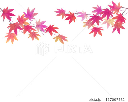 紅葉したもみじのフレームイラスト 117007382