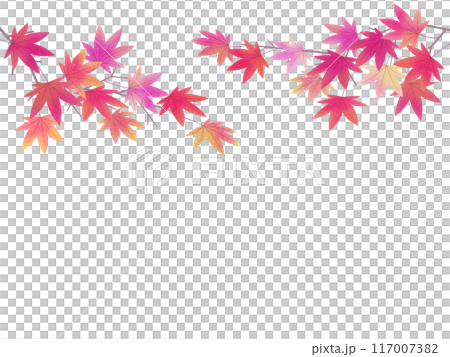 紅葉したもみじのフレームイラスト 117007382