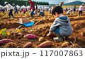 芋堀をする子供 117007863