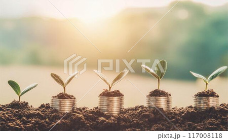 ビジネス　マネー　コイン　成長　芽生え　イメージ 117008118