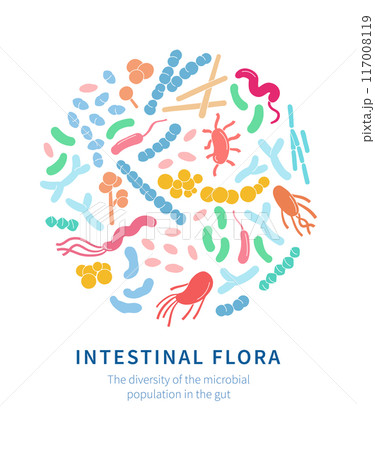 Vector illustration of microbiome bacteria, featuring beneficial and pathogenic intestinal flora. 117008119