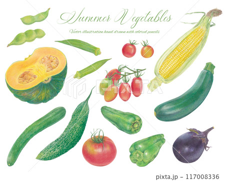 手書きの夏野菜のイラストセット 117008336