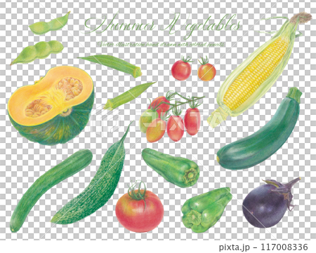 手繪夏季蔬菜插畫集 117008336