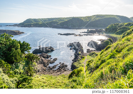 俵磯の柱状節理 数100万年前の海底火山の地下でマグマが冷え固まる際の収縮によってできた六角形の俵石 俵磯の柱状節理 数100万年前の海底火山の地下でマグマが冷え固まる際の収縮によってできた六角形の俵石 117008361
