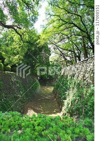 名古屋城の空堀(夏、七月) 名古屋城の空堀(夏、七月) 117008551