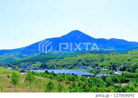6月の霧ヶ峰高原からの眺望 信州の自然 6月の霧ヶ峰高原からの眺望 信州の自然 117009045
