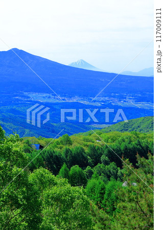 6月の霧ヶ峰高原からの眺望 信州の自然 6月の霧ヶ峰高原からの眺望 信州の自然 117009111