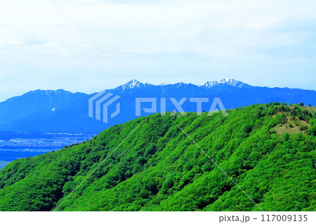 6月の霧ヶ峰高原からの眺望 信州の自然 6月の霧ヶ峰高原からの眺望 信州の自然 117009135