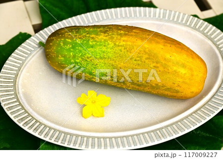 夏野菜 美味しい地きゅうり 夏野菜 美味しい地きゅうり 117009227