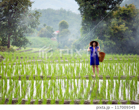 Woman in native hmong traditional dress and straw hat standing in lush green rice field surrounded by misty trees and mountains in background Woman in native hmong traditional dress and straw hat standing in lush green rice field surrounded by misty trees and mountains in background 117009345