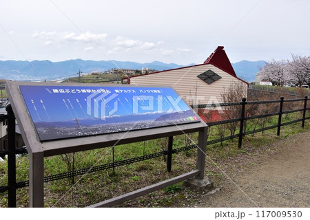 甲州市　中央本線勝沼ぶどう郷駅からのパノラマ展望と満開桜 117009530