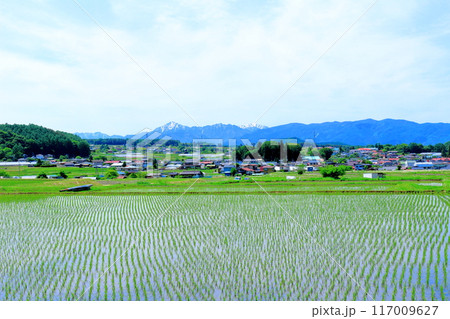 6月の富士見地域　　　　信州の自然 117009627