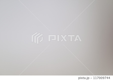 和紙によるボケ味を持つ背景素材（グレー） 117009744