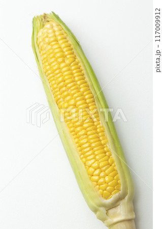 とうもろこし　白バック 117009912