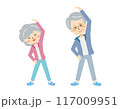 体操をするシニア 117009951