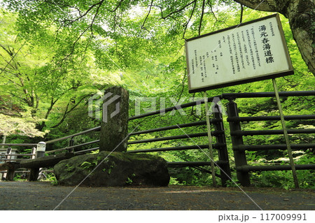 湯元呑湯道標 117009991