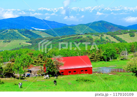6月の根子岳登山 信州の自然 信州の山々 6月の根子岳登山 信州の自然 信州の山々 117010109