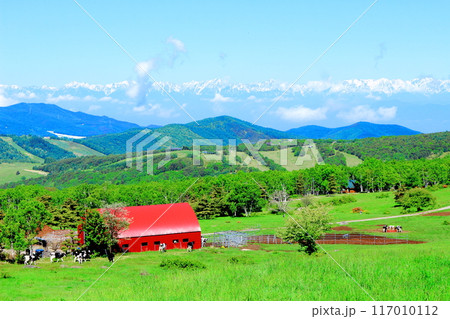6月の根子岳登山　　　　信州の自然　　　信州の山々 117010112