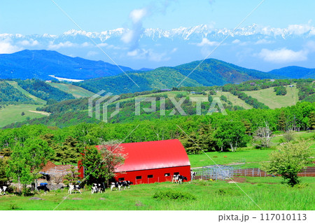 6月の根子岳登山　　　　信州の自然　　　信州の山々 117010113