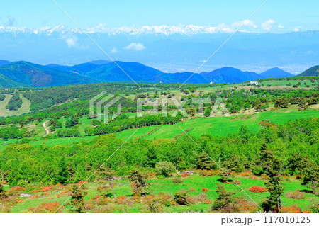 6月の根子岳登山　　　　信州の自然　　　信州の山々 117010125