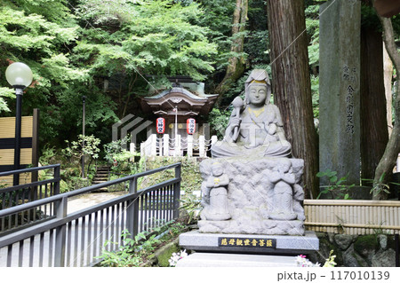 南蔵院・慈母観音菩薩 117010139