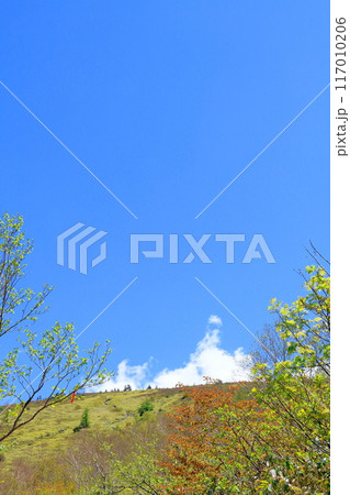 6月の根子岳登山　　　　信州の自然　　　信州の山々 117010206