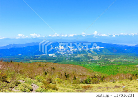 6月の根子岳登山 信州の自然 信州の山々 6月の根子岳登山 信州の自然 信州の山々 117010231