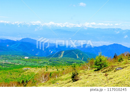 6月の根子岳登山 信州の自然 信州の山々 6月の根子岳登山 信州の自然 信州の山々 117010245