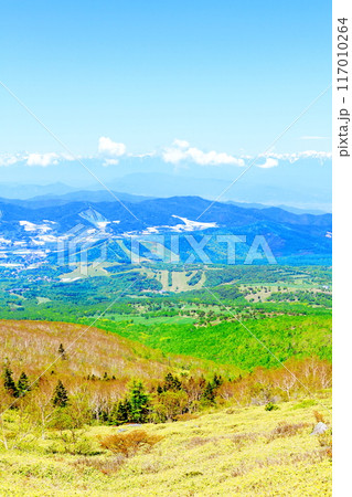 6月の根子岳登山 信州の自然 信州の山々 6月の根子岳登山 信州の自然 信州の山々 117010264