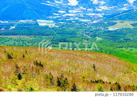 6月の根子岳登山　　　　信州の自然　　　信州の山々 117010280