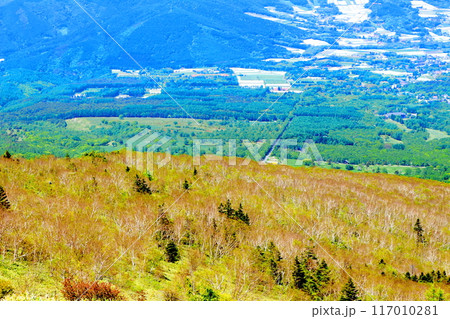6月の根子岳登山　　　　信州の自然　　　信州の山々 117010281
