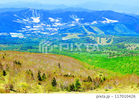 6月の根子岳登山 信州の自然 信州の山々 6月の根子岳登山 信州の自然 信州の山々 117010426