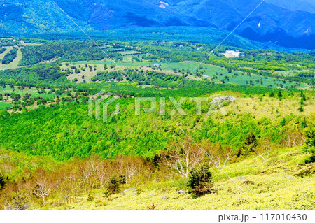 6月の根子岳登山 信州の自然 信州の山々 6月の根子岳登山 信州の自然 信州の山々 117010430