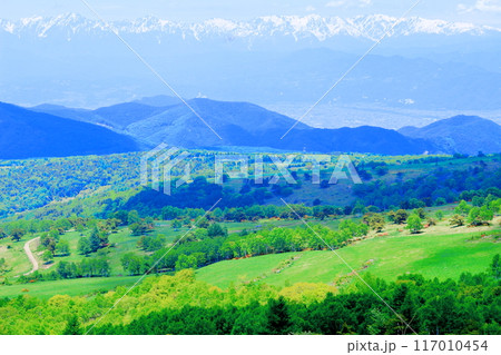 6月の根子岳登山 信州の自然 信州の山々 6月の根子岳登山 信州の自然 信州の山々 117010454