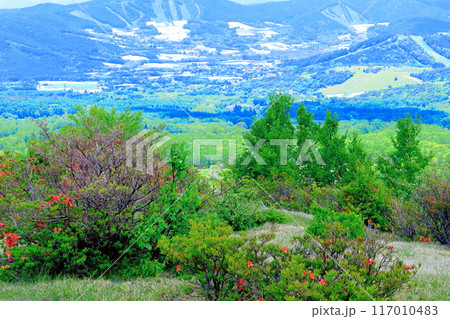 6月の根子岳登山 信州の自然 信州の山々 6月の根子岳登山 信州の自然 信州の山々 117010483
