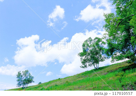 6月の根子岳登山　　　　信州の自然　　　信州の山々 117010557