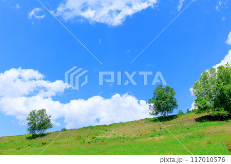 6月の根子岳登山　　　　信州の自然　　　信州の山々 117010576