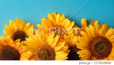 AIアート、向日葵の背景 117010666